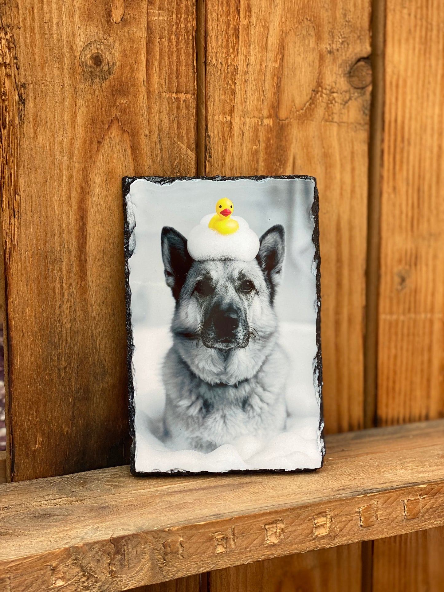 Custom Funny Pet Portrait – Black & White | Perfect for Tote Bags, Mugs, Magnets, Keyrings, Slates & NotebooksBecause Your Pet Deserves to Be Ridiculously Fabulous
