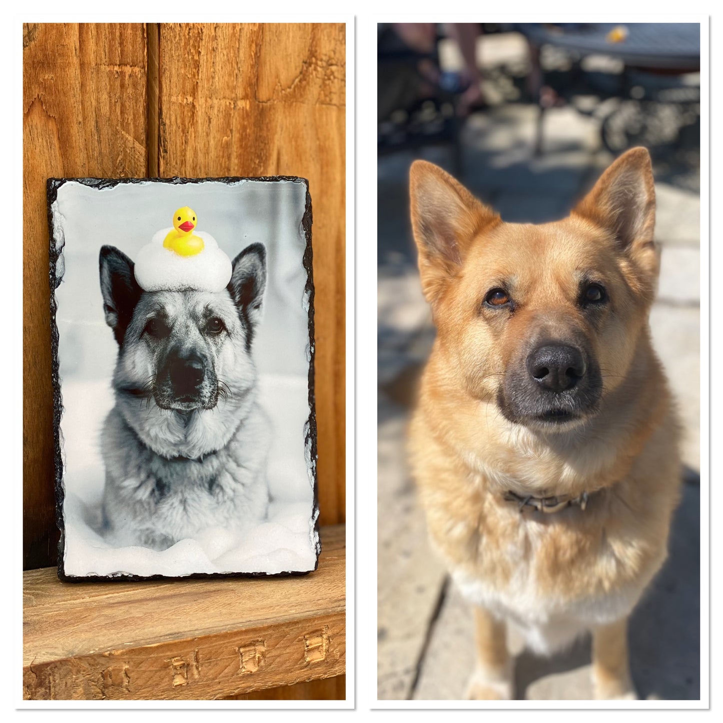 Custom Funny Pet Portrait – Black & White | Perfect for Tote Bags, Mugs, Magnets, Keyrings, Slates & NotebooksBecause Your Pet Deserves to Be Ridiculously Fabulous