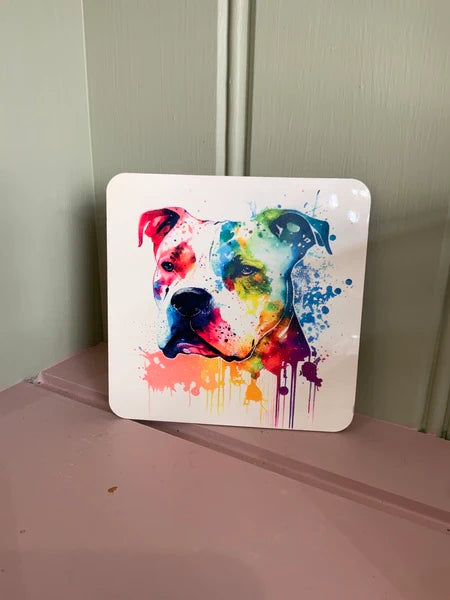 Staffie Dog Mug & Coaster Rainbow Design 2