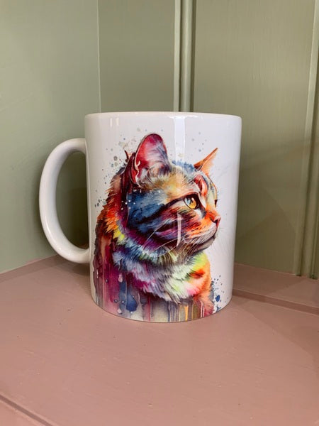 Tabby Cat Mug & Coaster Rainbow