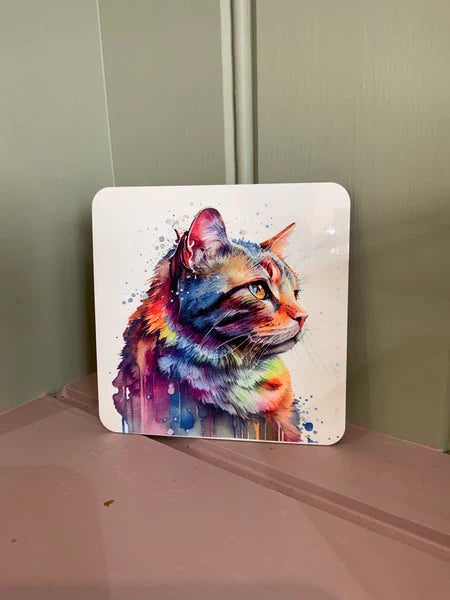 Tabby Cat Mug & Coaster Rainbow