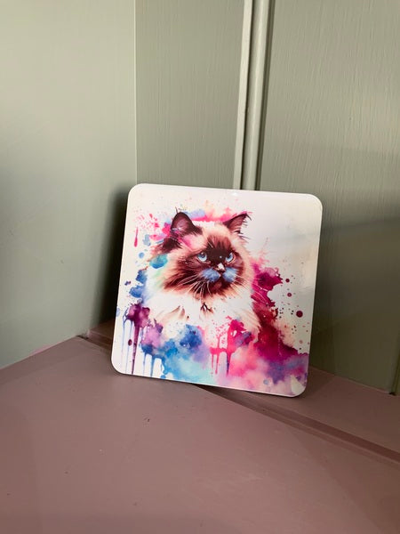 Rag Doll Cat Rainbow Coaster Design 1