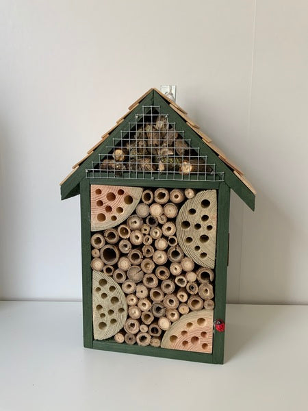 (159) Bills Boxes-Bug House-Green-Wood-Mesh