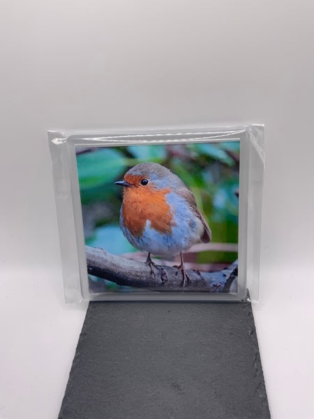 (174) Robin Coaster
