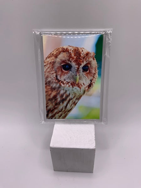 (174) Fridge Magnet - Tawney Owl