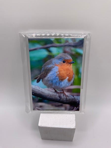 (174) Fridge Magnet - Robin to the right