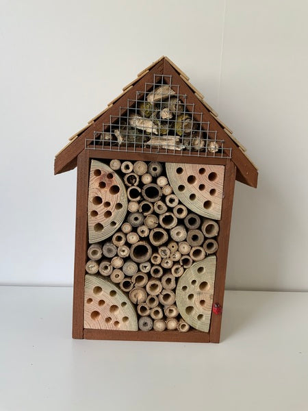 (159) Bills Boxes-Bug House-Brown-Wood-Mesh